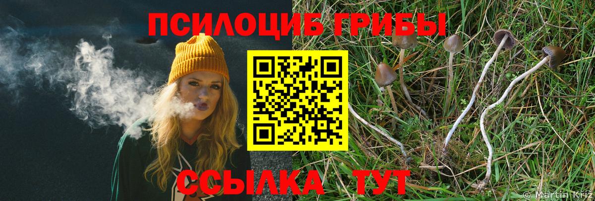 Cocaine Зима