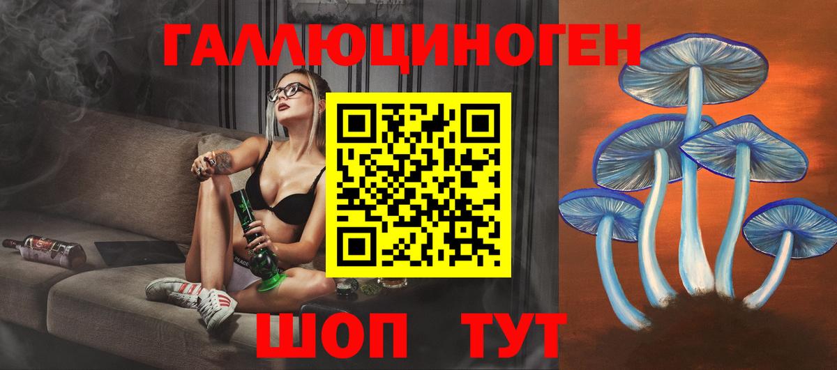 Галлюциногенные грибы прущие грибы Зима
