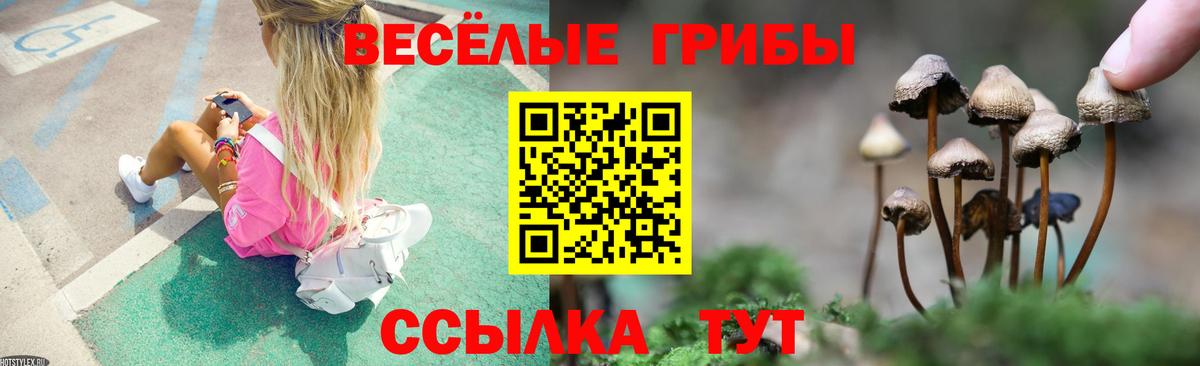 Зима  Псилоцибиновые грибы прущие грибы  Вход с VPN  Галлюциногенные грибы прущие грибы 